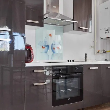 Aurelia Studio Navodari